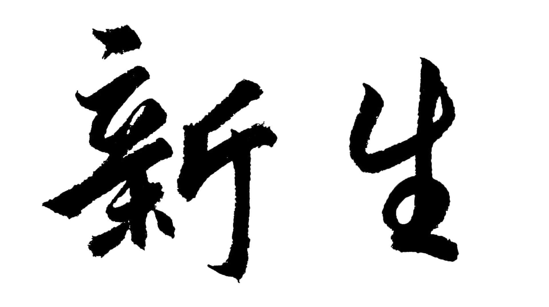 新生